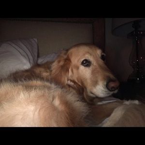 Meet your Posher, Meredith